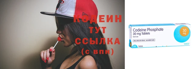 прущие грибы Богородск