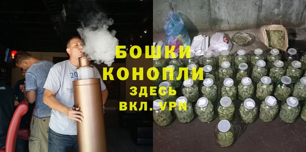 ALPHA-PVP Богородицк
