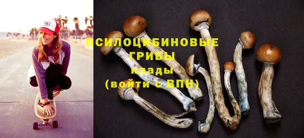 ALPHA-PVP Богородицк